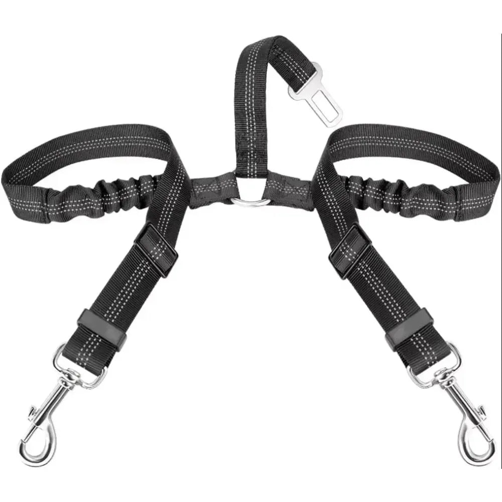 laisse corde pour chien