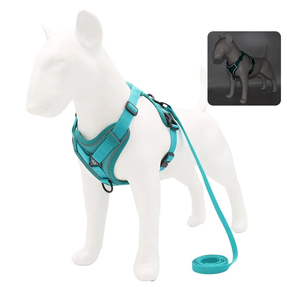harnais laisse pour chien de moyen taille