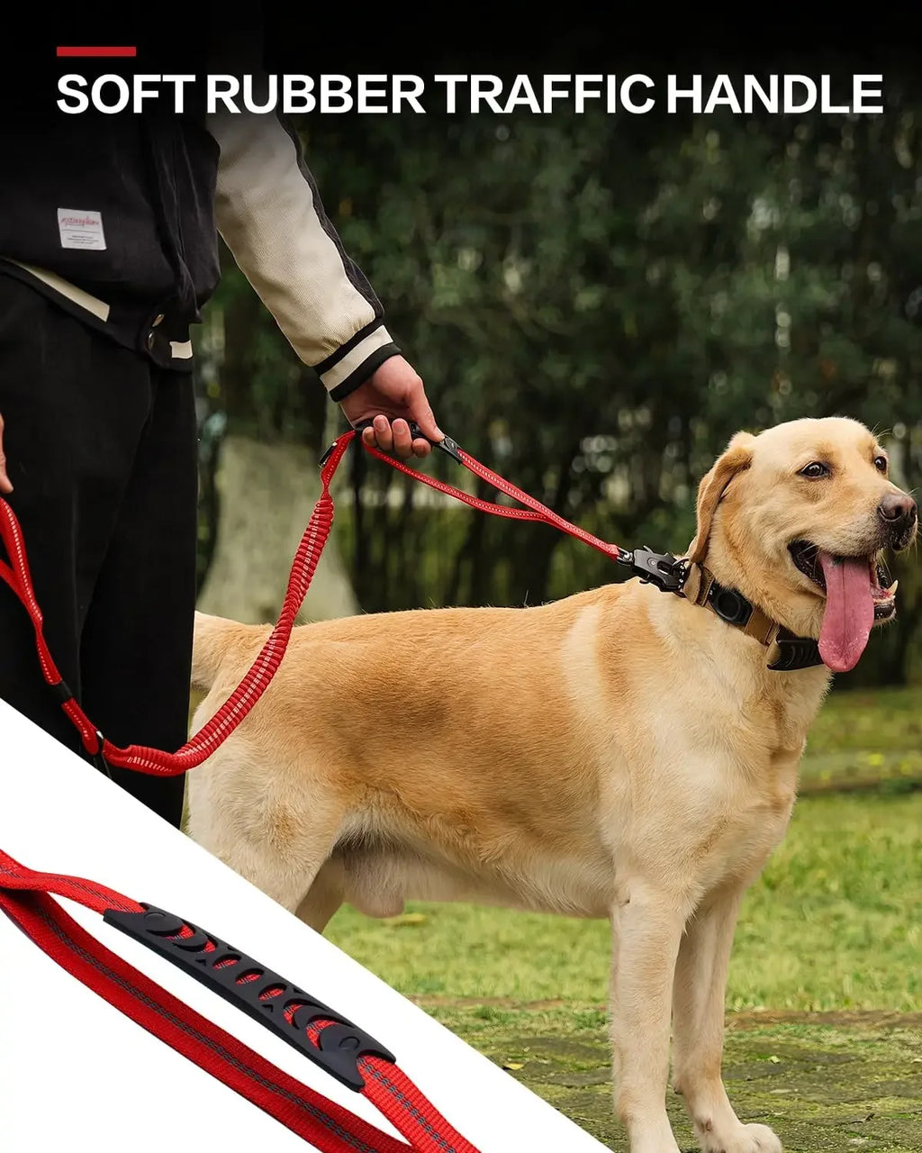 laisse pour chien qui tire fort