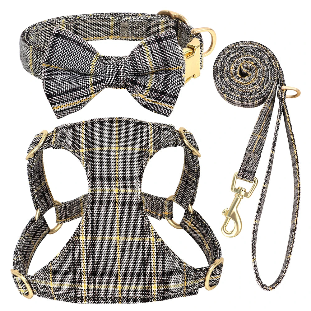 collier et laisse pour chien girly