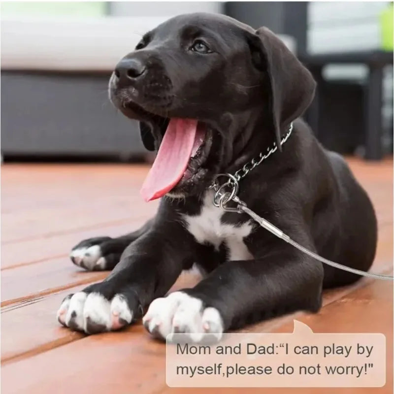 laisse cable acier pour gros chien