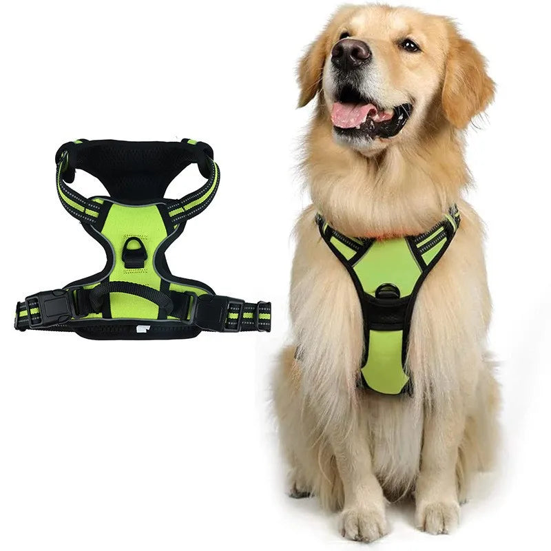 laisse harnais pour chien