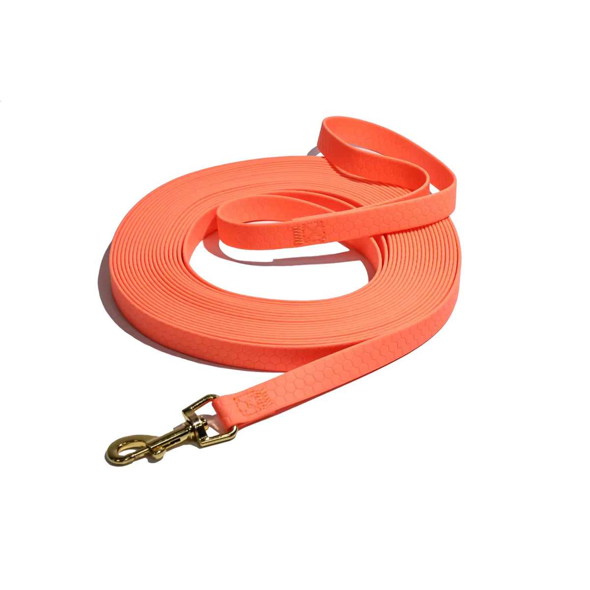 laisse pour chien berger allemand