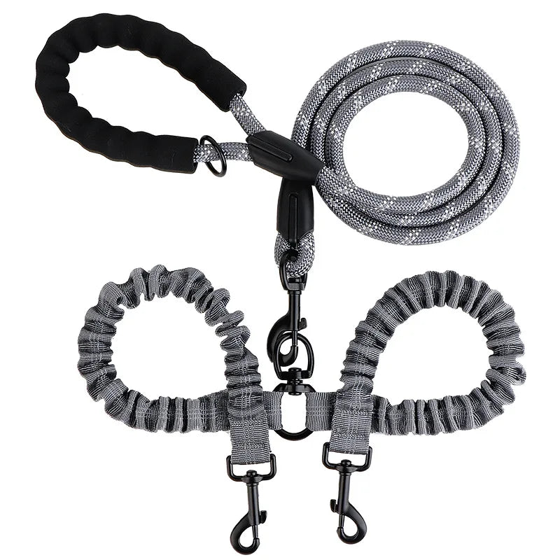 laisse double chien qui tire
