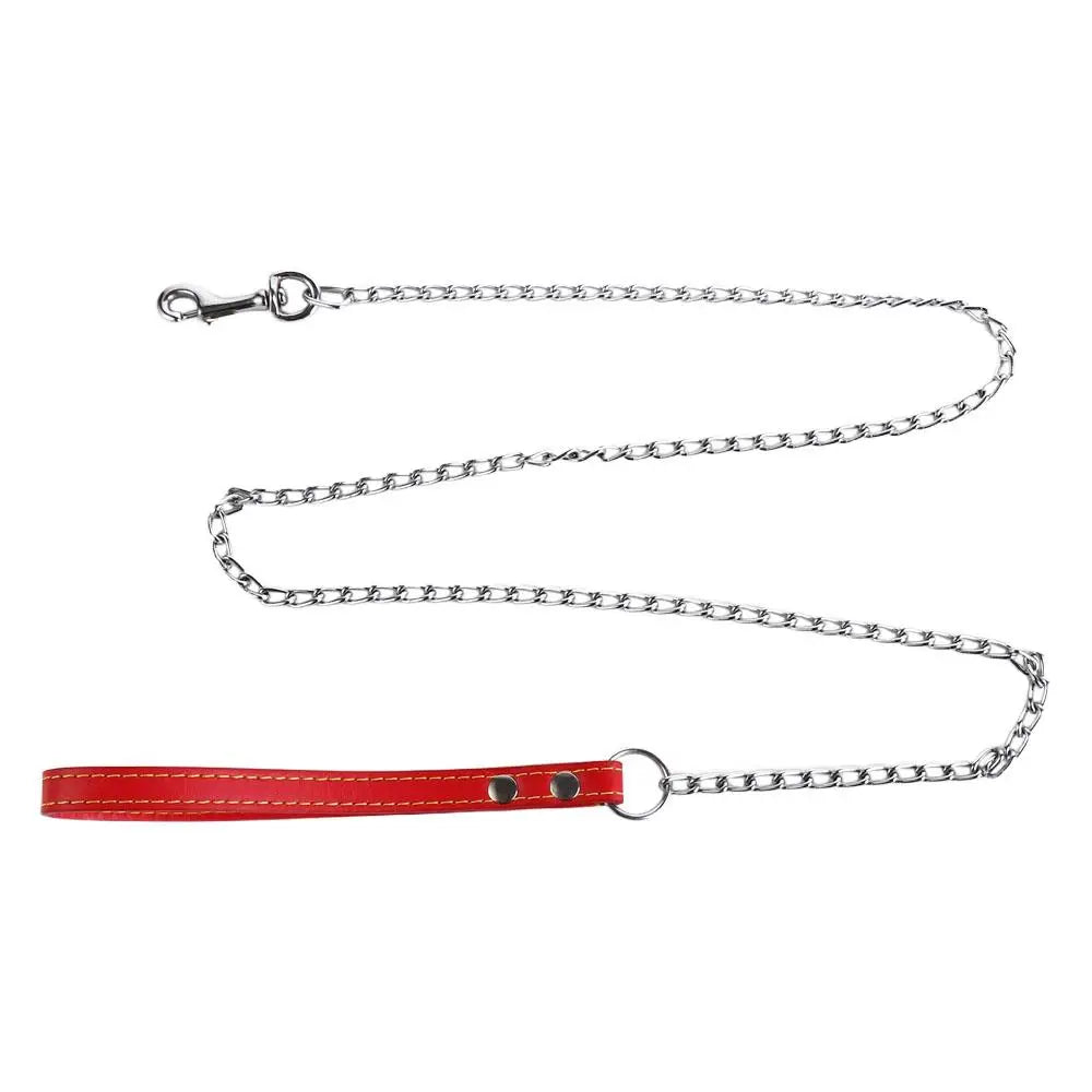 laisse chaine fine pour chien