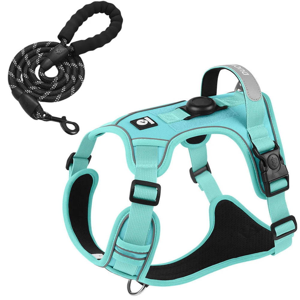 ensemble harnais laisse pour chien