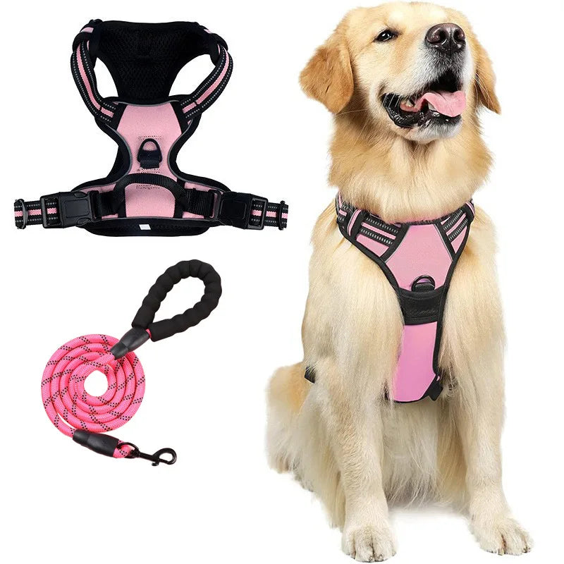 laisse harnais pour chien