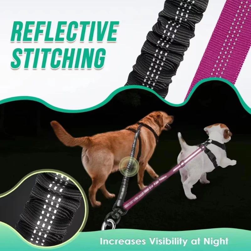 double laisse pour chien