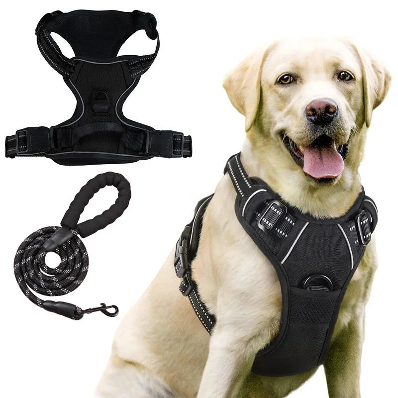 laisse harnais pour chien