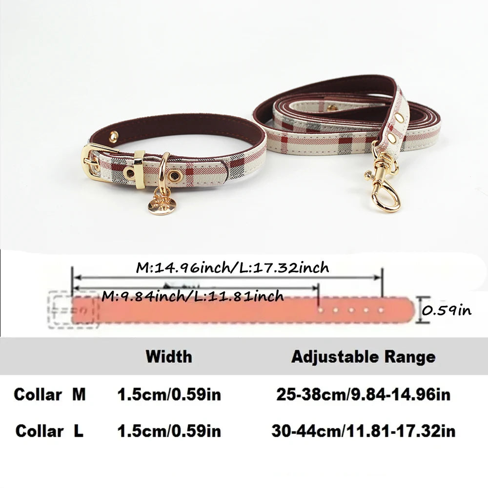 collier et laisse pour chien chic