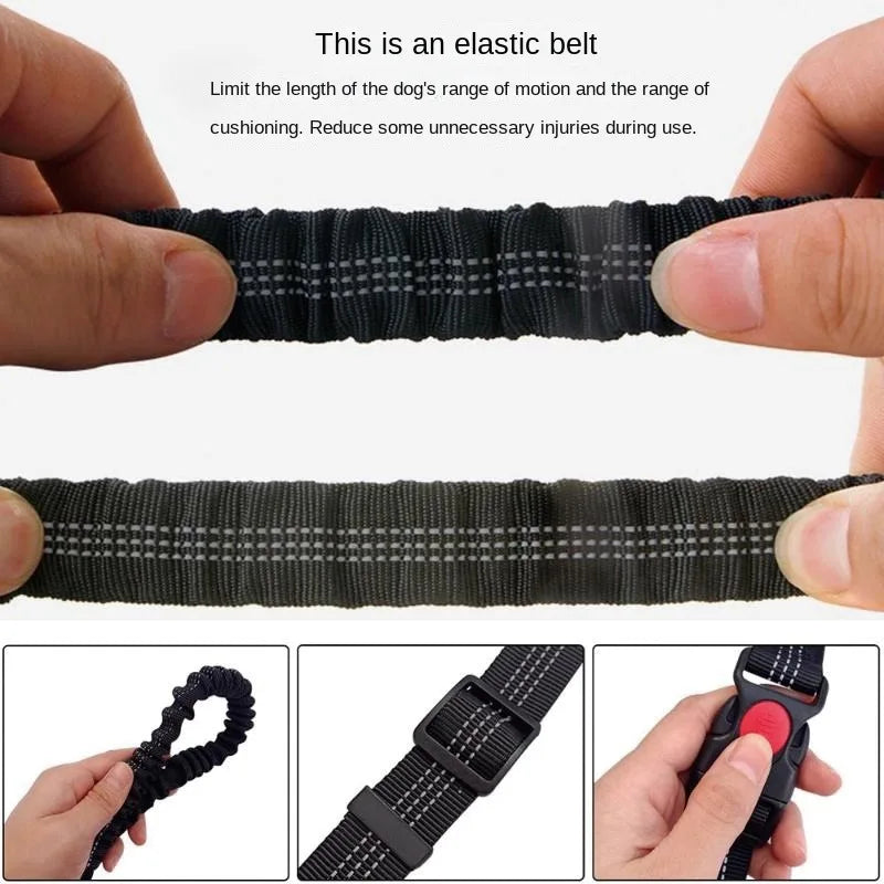 laisse canicross pour chien