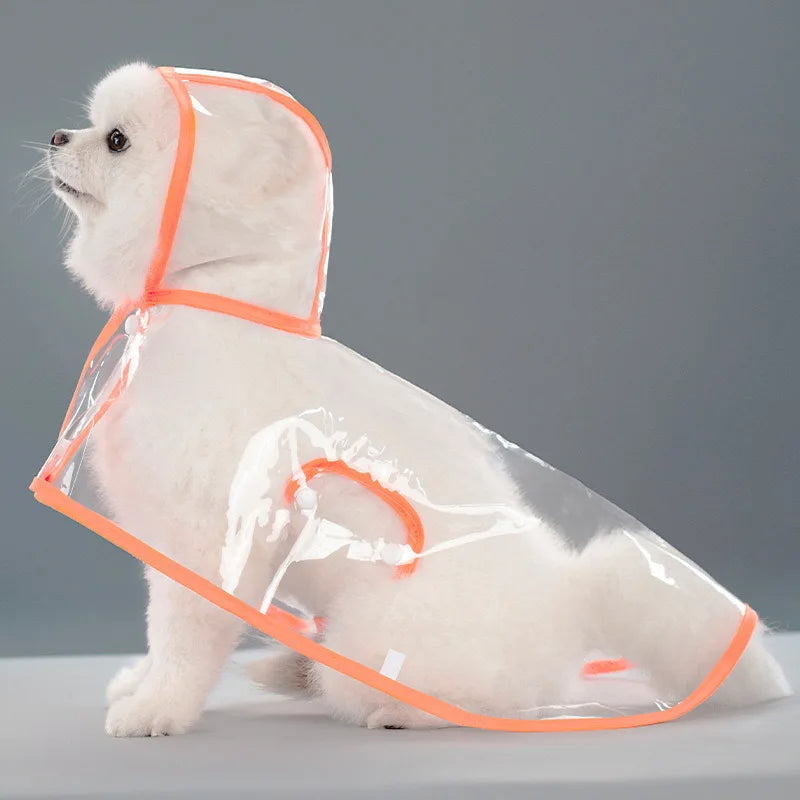 harnais impermeable transparent avec trou ou anneau