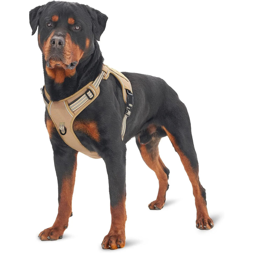 laisse militaire pour chien