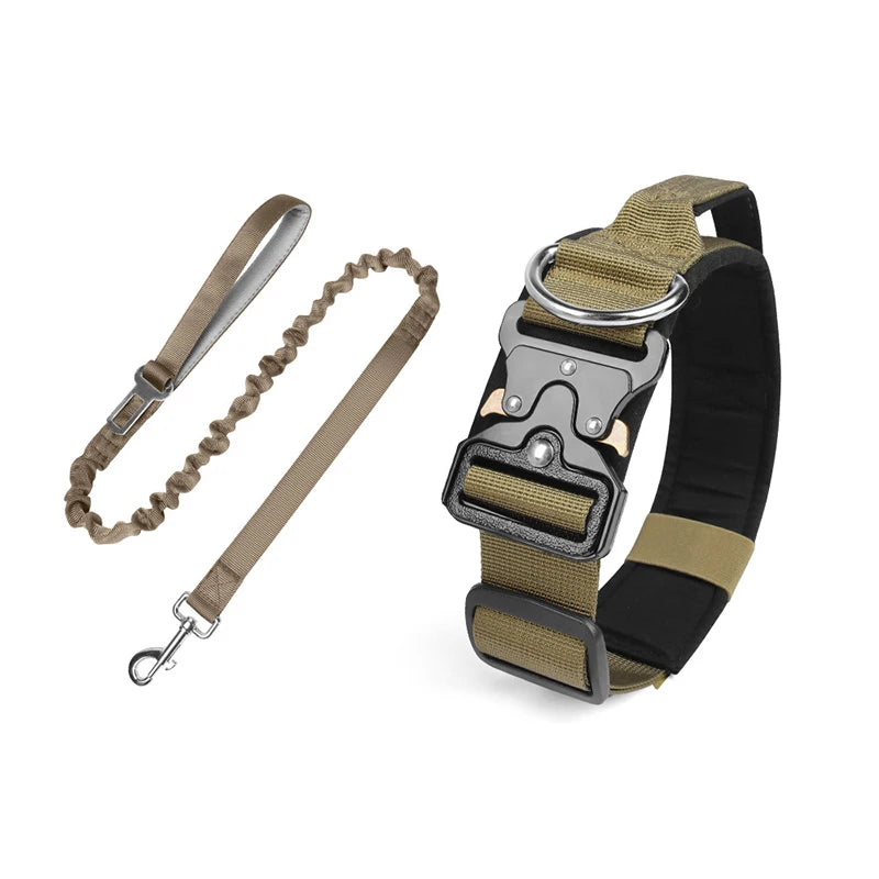 collier et laisse d'intervention pour chien berger allemand