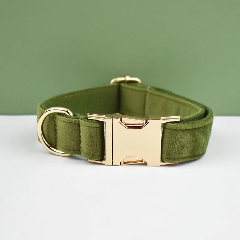 collier et laisse pour chihuahua