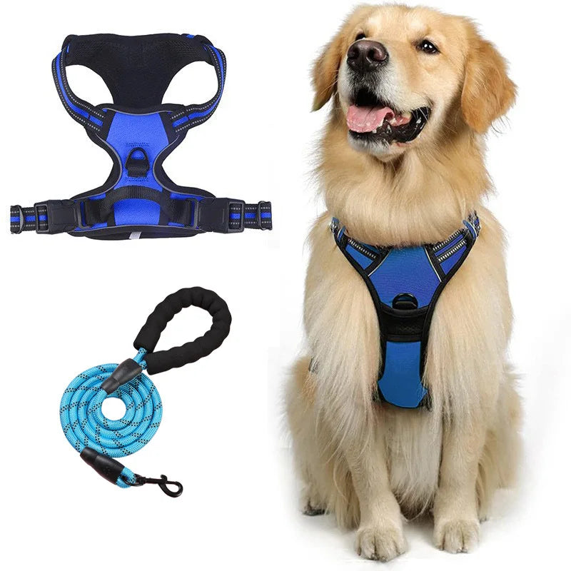laisse harnais pour chien
