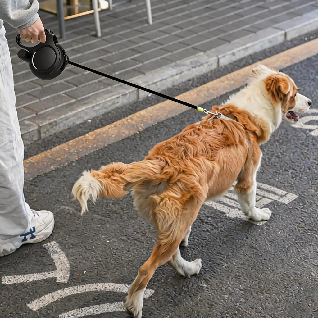 laisse telescopique pour gros chien
