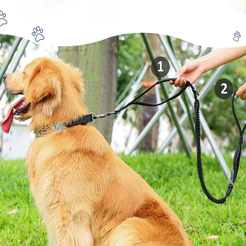 laisse amortisseur pour gros chien