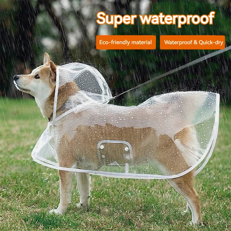 harnais impermeable transparent avec trou ou anneau