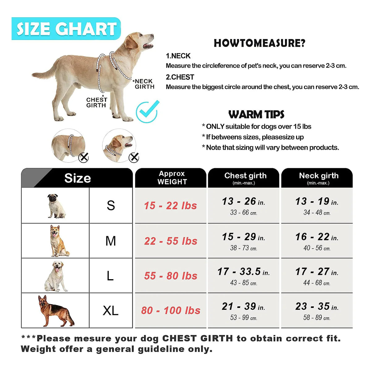 harnais laisse pour chien bleu