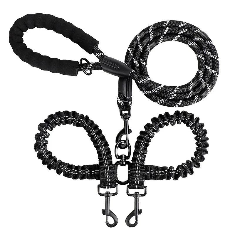 laisse double chien qui tire