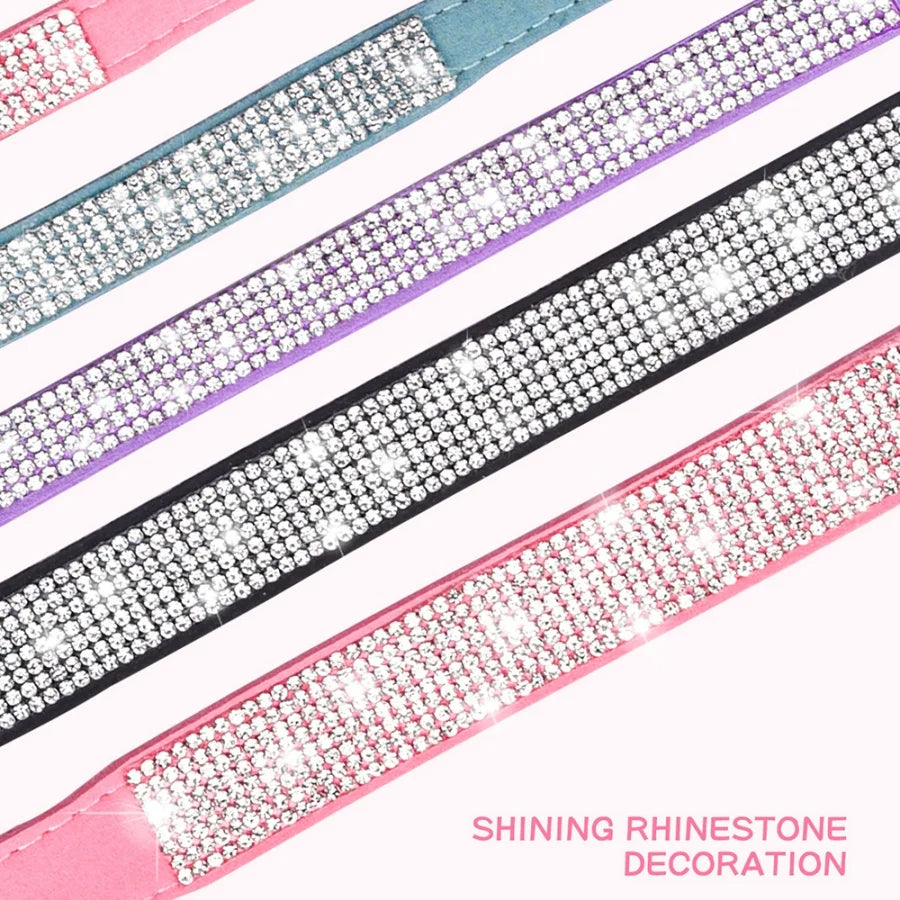 collier et laisse strass pour chien