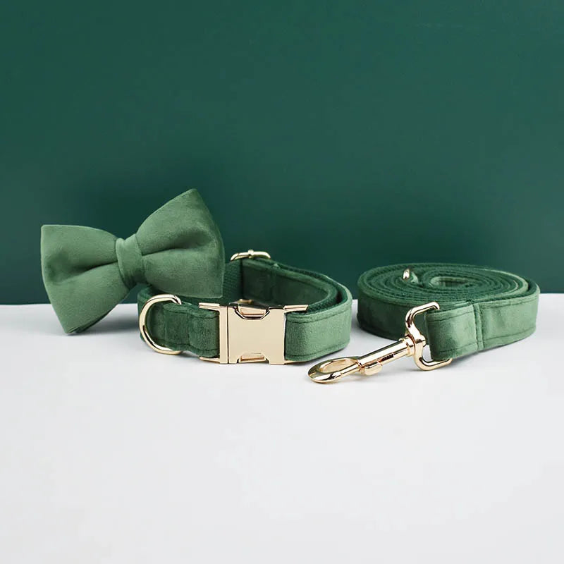 collier et laisse pour chihuahua