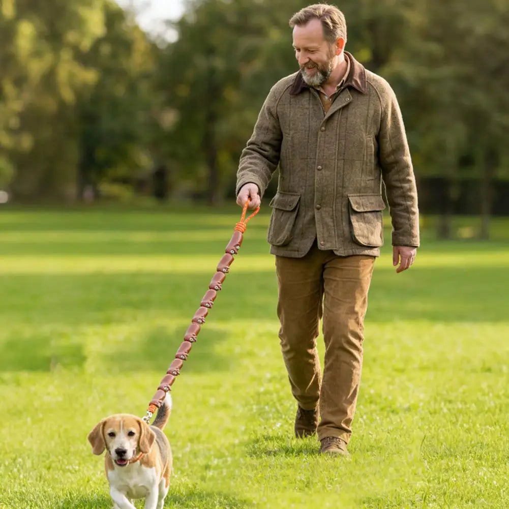 laisse caoutchouc pour chien