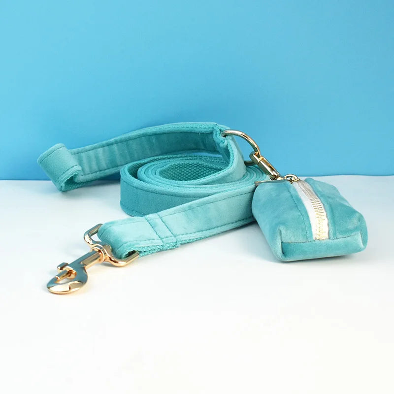 laisse d'exposition pour chien turquoise