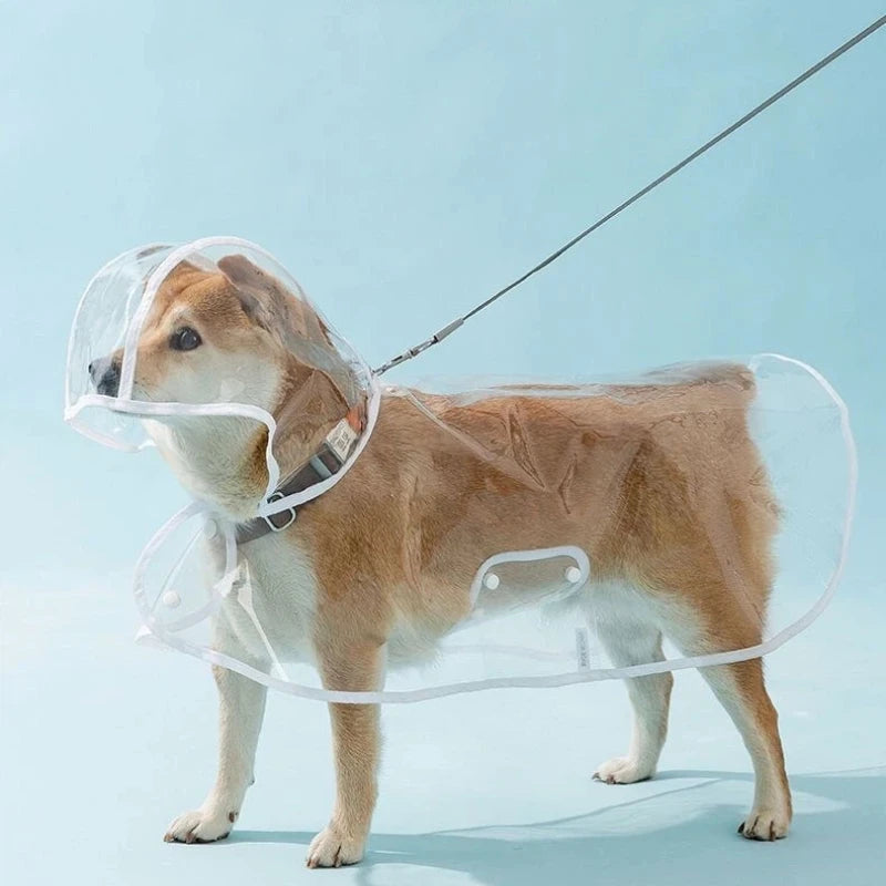 harnais impermeable transparent avec trou ou anneau