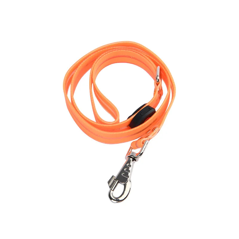 collier et laisse lumineuse pour chien