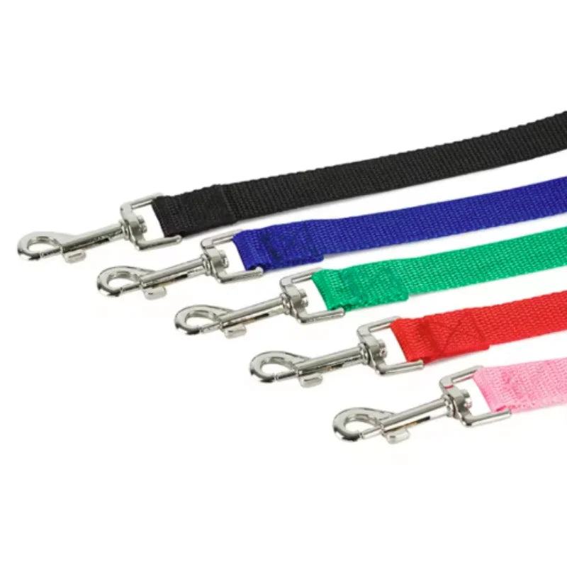 laisse de dressage