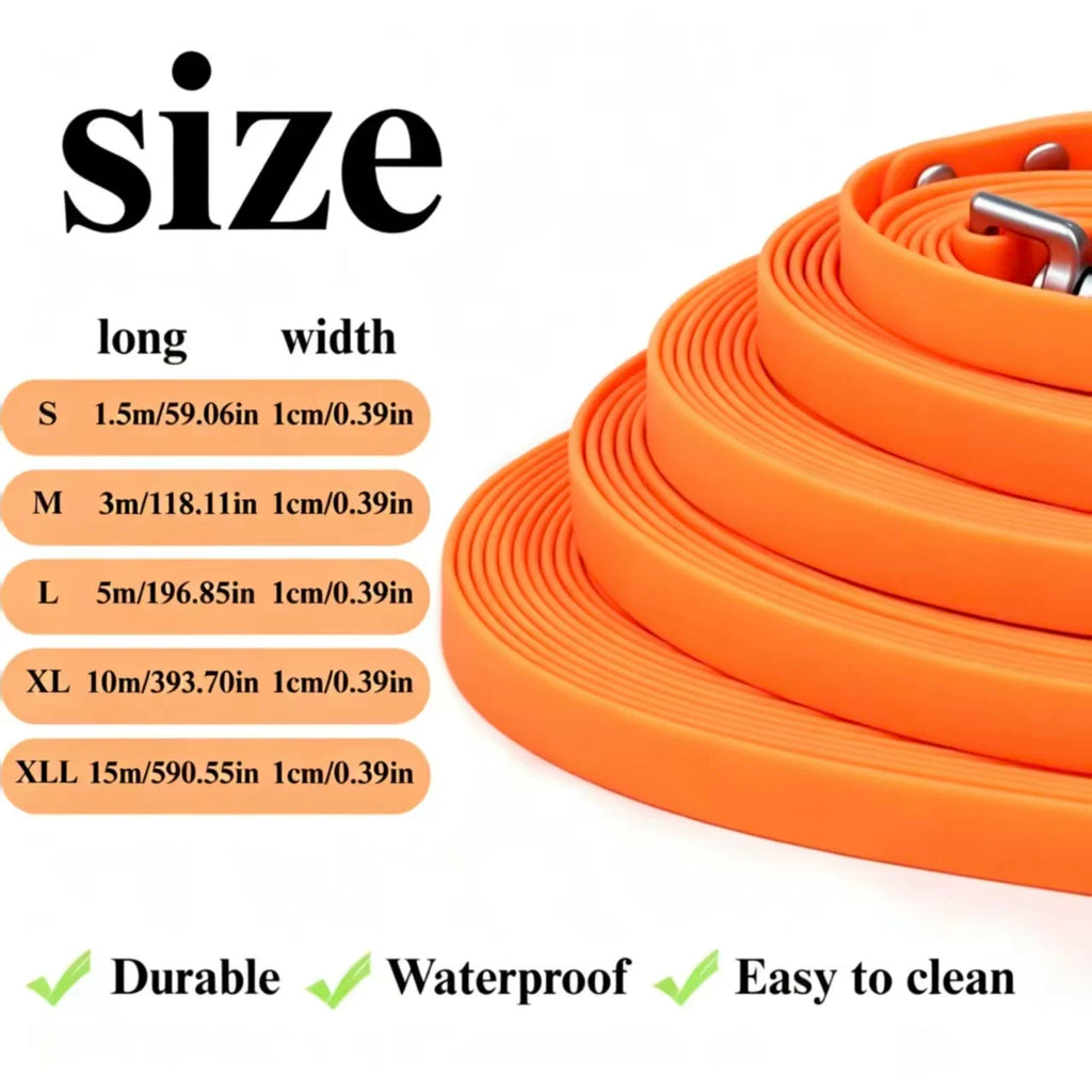 laisse orange pour chien