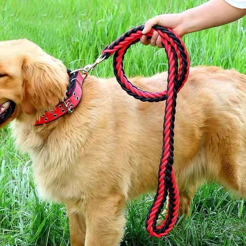 laisse en corde tresser pour chien