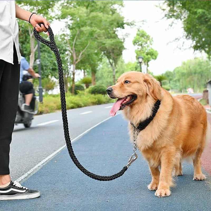 laisse pour grand chien