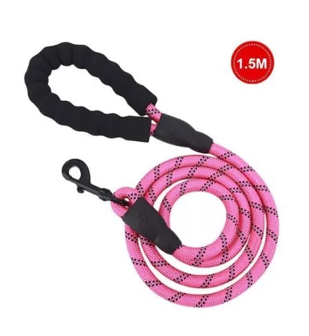 laisse harnais pour chien