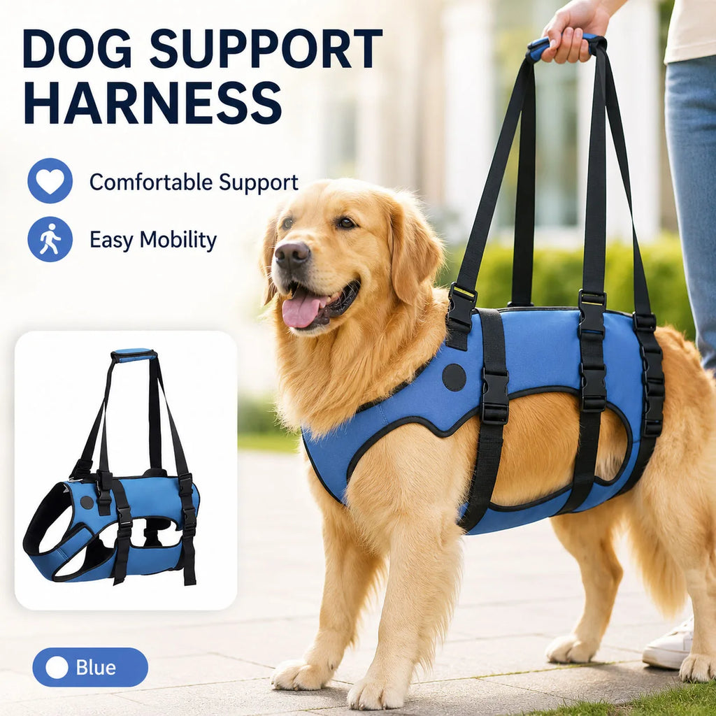 harnais laisse soutien chien a mobilité réduite