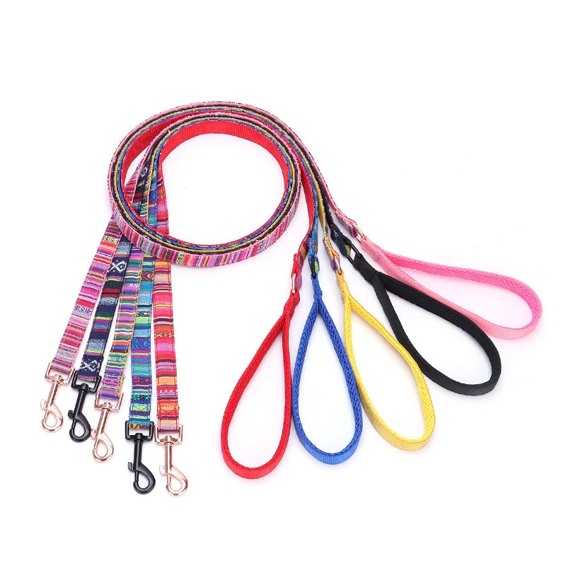 laisse crochet pour petit chien
