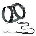 laisse anti fugue pour chien