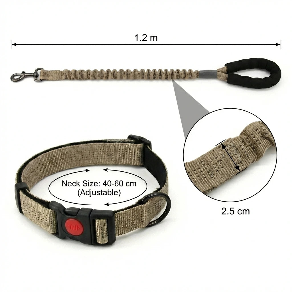 collier et laisse en nylon pour chien