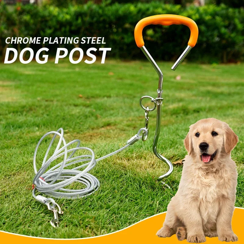 piquet laisse pour chien