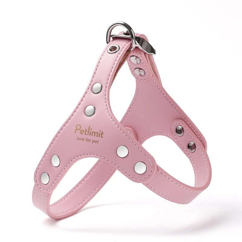 harnais cuir laisse pour petit chien yorkshire