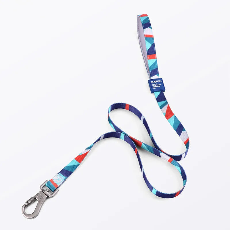 collier et laisse pour chien carricature