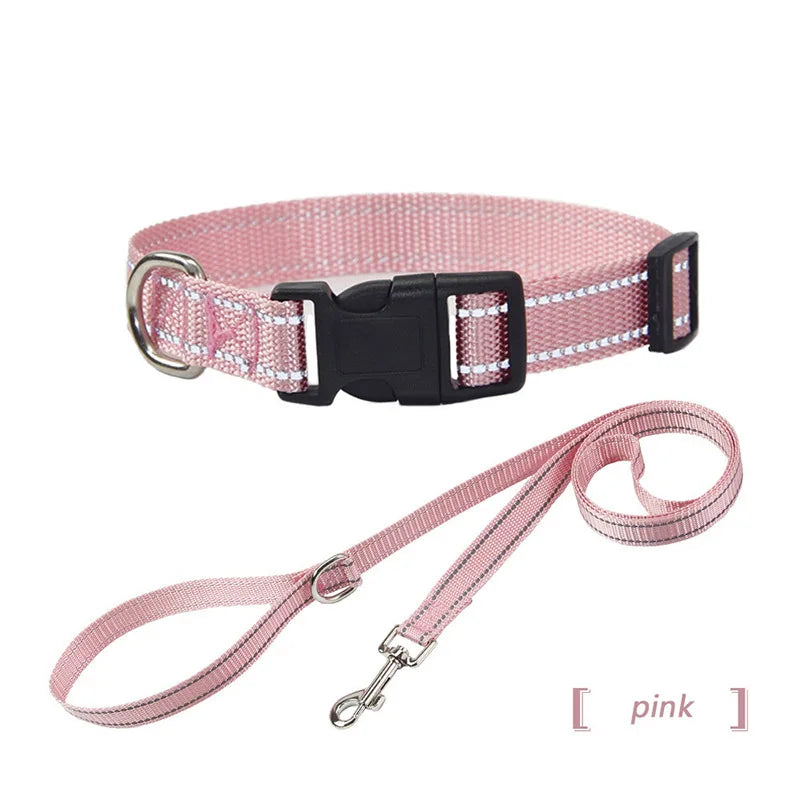 collier et laisse assorti pour chien