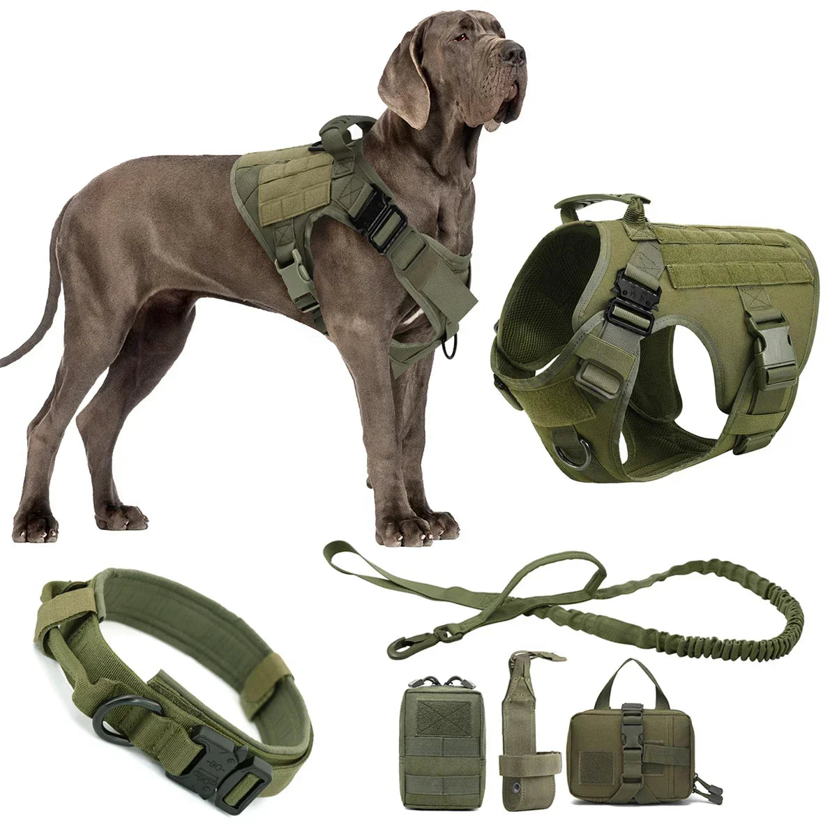 harnais laisse pour chien cynophile