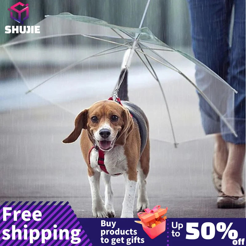 laisse parapluie