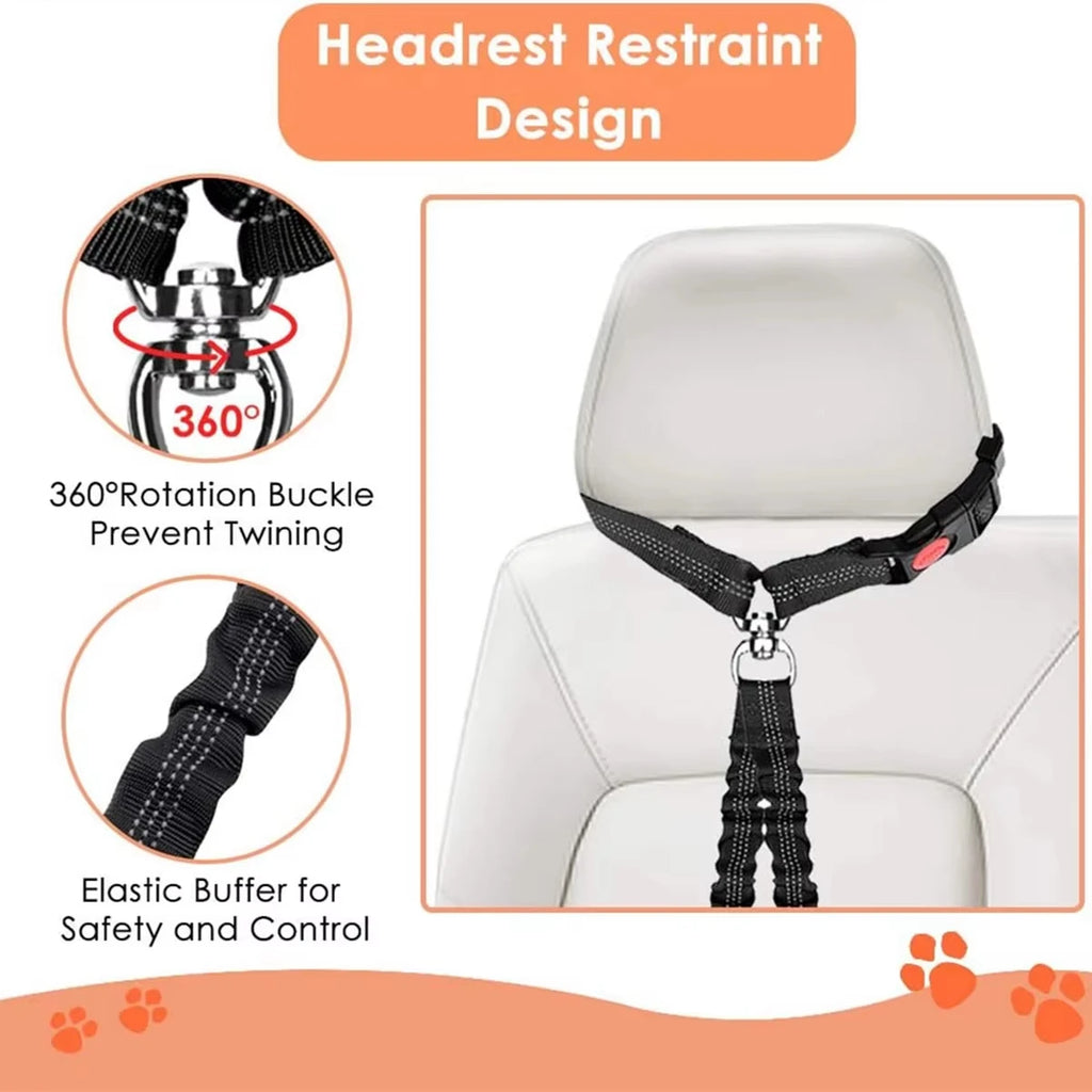 laisse ceinture pour 2 chien