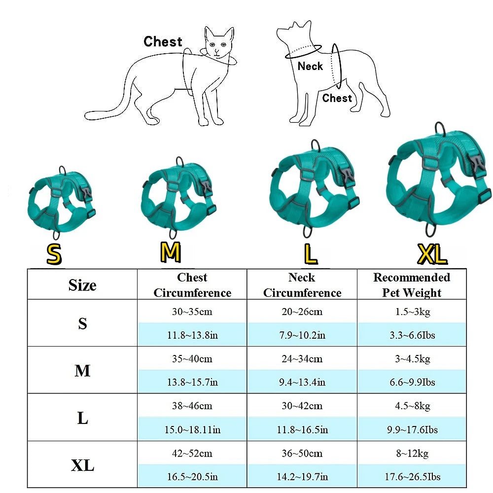 harnais laisse pour chien de moyen taille