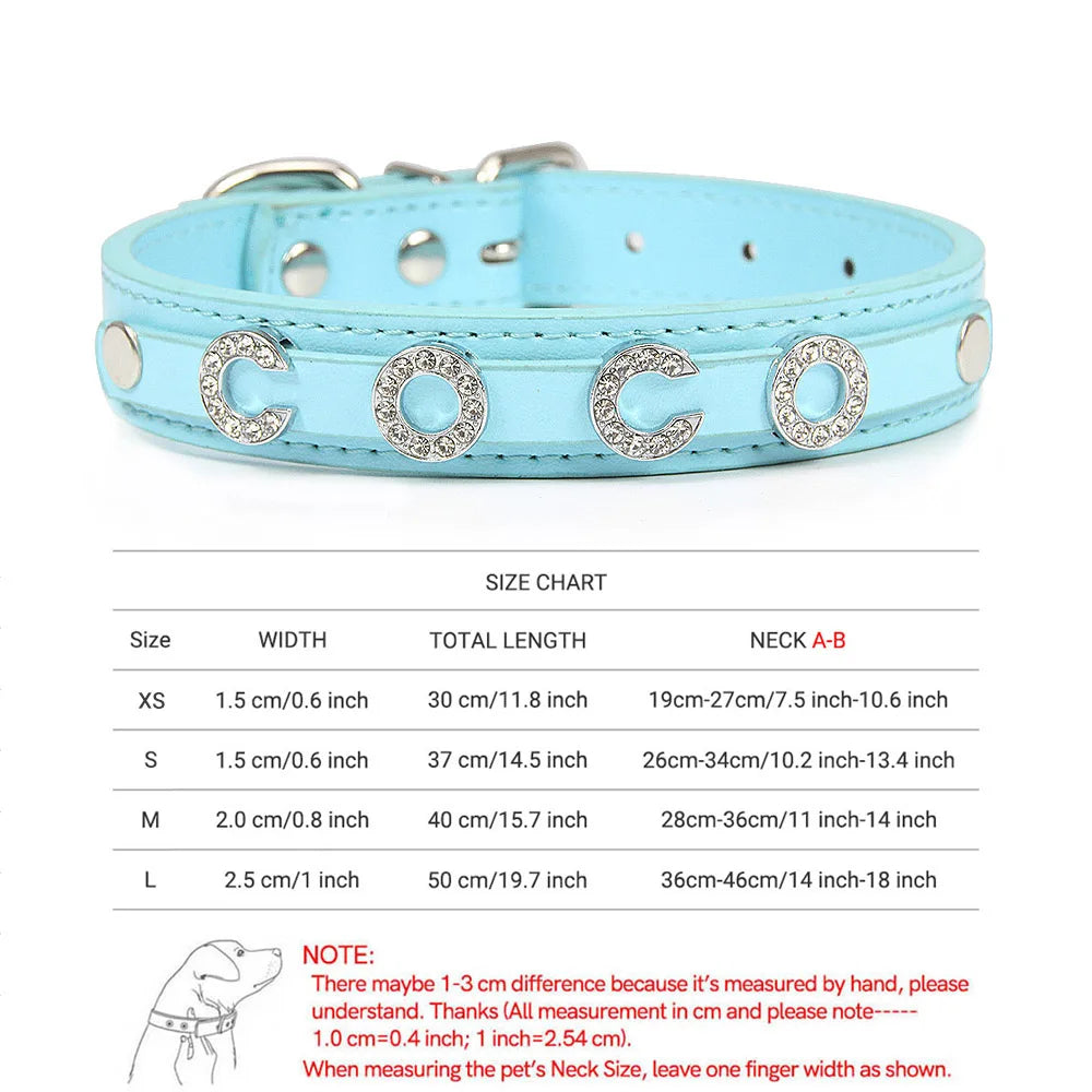 colier pour chien cuir et strace blanc