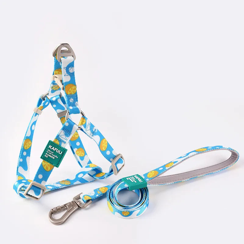 collier et laisse pour chien carricature